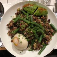 buddha bawl  at Benedict in Karmiel