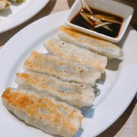 Gyoza  at VeganBliss 蔬福 in Central Singapore