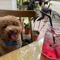   at VeganBliss 蔬福 in Central Singapore