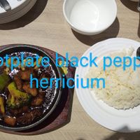  at VeganBliss 蔬福 in Central Singapore