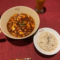 Mapo tofu done right at vegan veggie joga - 嫦娥 in Tokyo