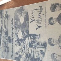  at Viet Village in Mannheim