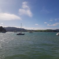 Mangonui Waterfront at Little Kitchen Cafe in Mangonui