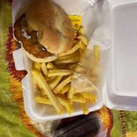 Everything I ordered
Vegan Chicken sandwich and cake at The Twisted Vegan in Tampa