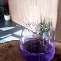 Localy produced gin tonic 💜 at Život Caffe in Porec