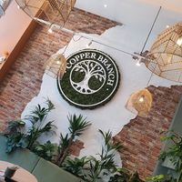 Lovely interior at Copper Branch in Rotterdam