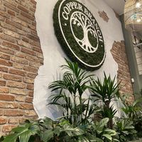   at Copper Branch in Rotterdam