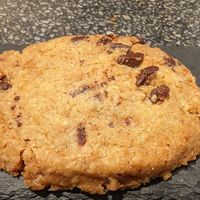  at Copper Branch in Rotterdam