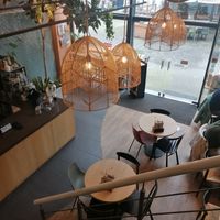 View from upstairs at Copper Branch in Rotterdam