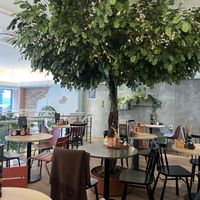   at Copper Branch in Rotterdam