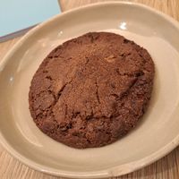  at Copper Branch in Rotterdam