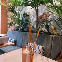  at Copper Branch in Rotterdam