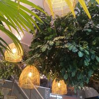 Inside decoration at Copper Branch in Rotterdam