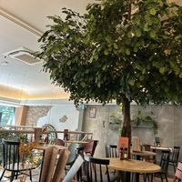 interior  at Copper Branch in Rotterdam