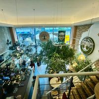  at Copper Branch in Rotterdam