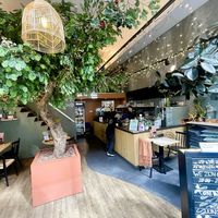  at Copper Branch in Rotterdam