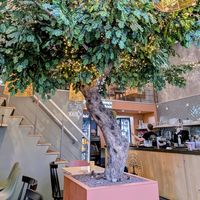  at Copper Branch in Rotterdam