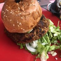   at Terminal F in Split