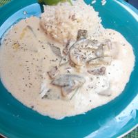 Mushroom stroganoff at Gourmet Bar Ginger in Dubrovnik