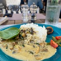 Mushroom stroganoff at Gourmet Bar Ginger in Dubrovnik