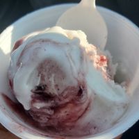 Vegan Berry Supreme 😋 at Scoops in Conshohocken