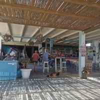 Bar, decor and sleeping puppy 🥰 at Seaside Restaurant Bar in Naxos
