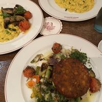 Vegan meal and vegetarian risotto with mushrooms  at Bremer Ratskeller in Bremen