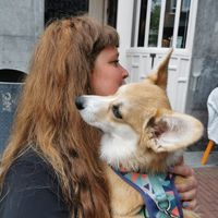 Loving pets  at Opstand in Nijmegen