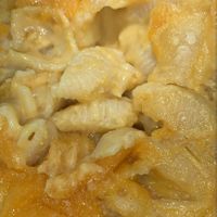 Mac n cheese  at The Witches Brew in West Hempstead