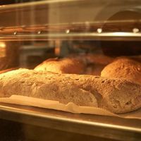 GF Ciabatta at Pane Ora in Dunedin