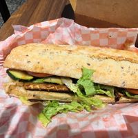  at Copper Branch - Sainte-Catherine  in Montreal