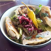 Gyoza's at Karma Kebab in Utrecht