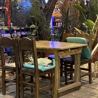 Cat  at Refresh Vegan Kitchen in Kas