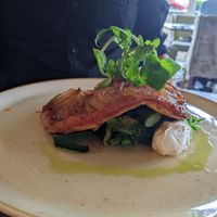 Onion tarte tatin with vegan marscapone at Orangery Restaurant in Clowne