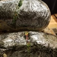 Big nori at Tassili's Raw Reality in Atlanta