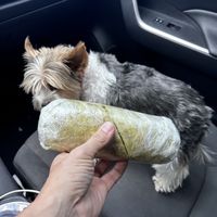   at Tassili's Raw Reality in Atlanta