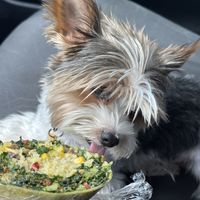   at Tassili's Raw Reality in Atlanta