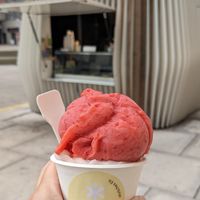  at Veganista Ice Cream MQ in Vienna