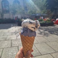 Cookies + Lavender at Veganista Ice Cream MQ in Vienna