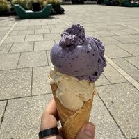   at Veganista Ice Cream MQ in Vienna