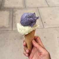   at Veganista Ice Cream MQ in Vienna