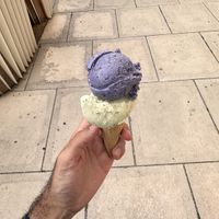   at Veganista Ice Cream MQ in Vienna