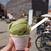 2 scoops: coconut and matcha at Veganista Ice Cream MQ in Vienna