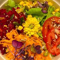  at Esperança.Eco in Rio De Janeiro