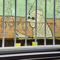  at Roostercat Coffee House in Denver