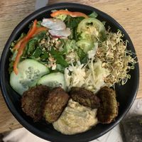 Daily menu with homemade falafel and hummus  at Bici Cafe in San Agustin