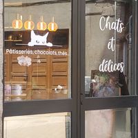  at Once Upon A Cat in Limoges