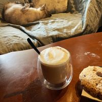   at Once Upon A Cat in Limoges