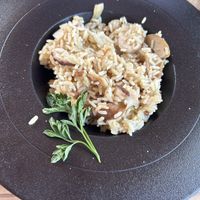 Vegan mushroom risotto  at Motel Majolka in Videm