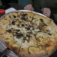   at Mellow Mushroom in Denver